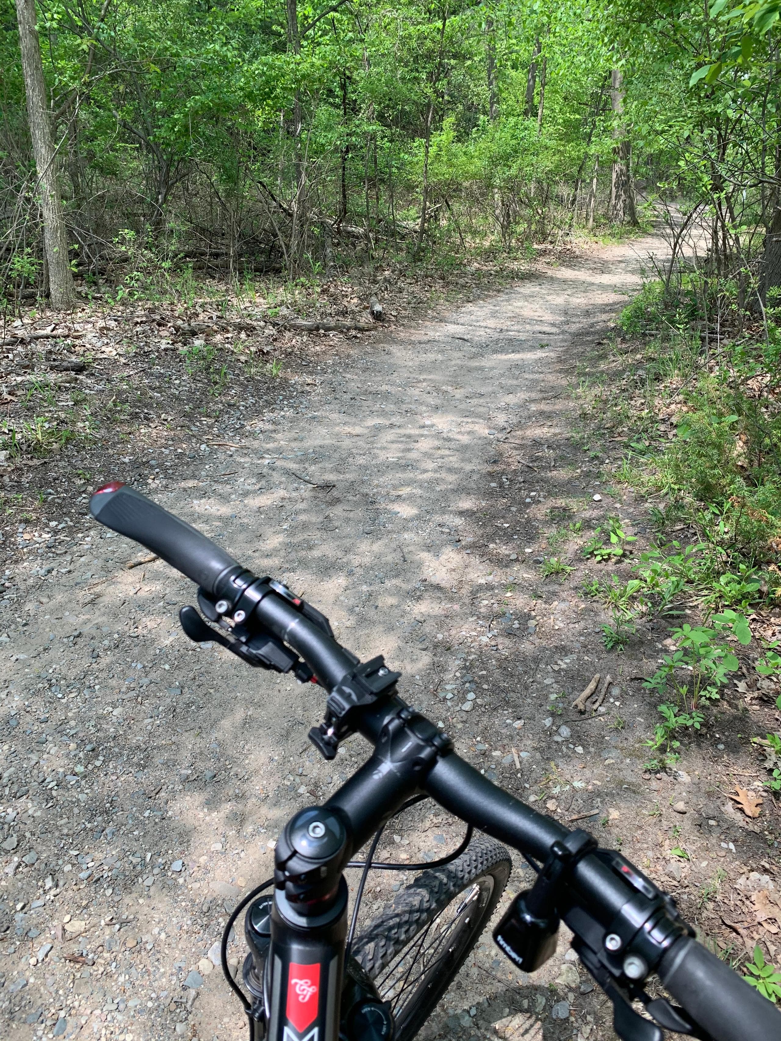 Riding at the park down the street from me